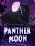 ทาง เข้า สล็อต 191 เล่นง่าย ได้เงินไว ได้อารมณ์!